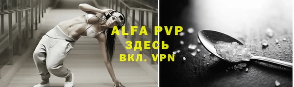 эйфоретик Вяземский