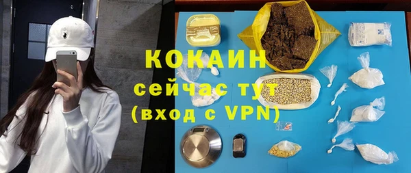 эйфоретик Вяземский
