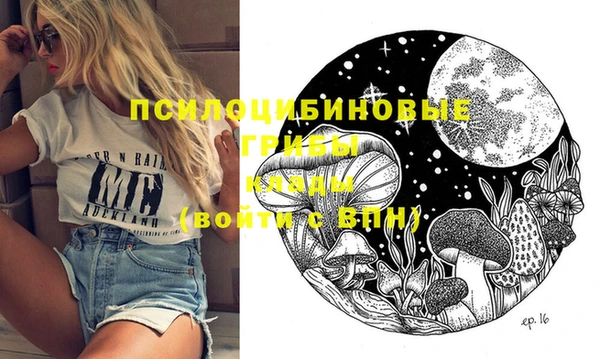 эйфоретик Вяземский