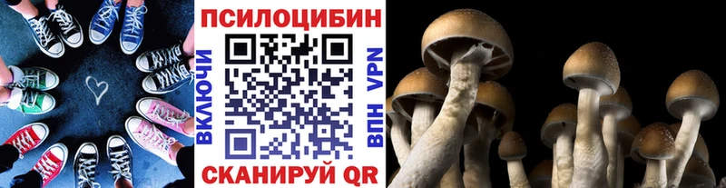 Псилоцибиновые грибы GOLDEN TEACHER  как найти закладки  Пудож 
